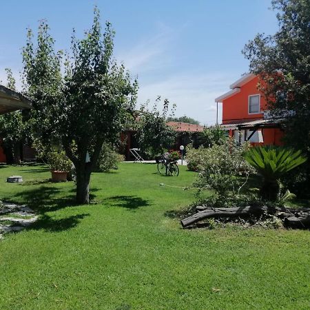 Il Bouganville Oristano Luaran gambar