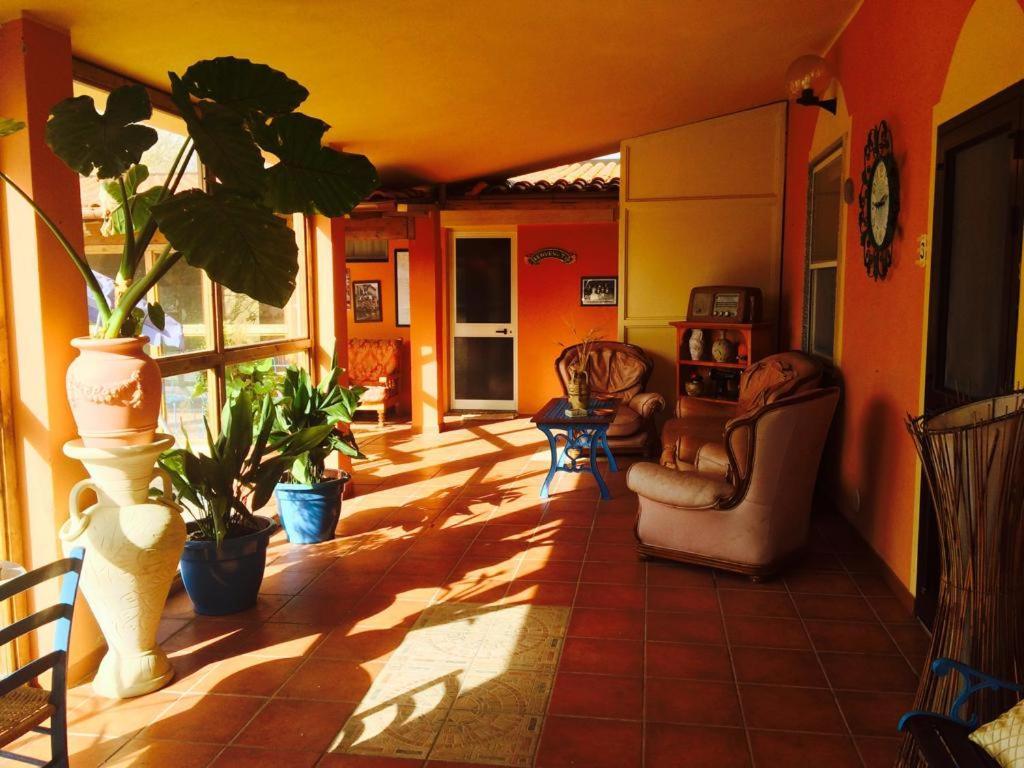 Il Bouganville Oristano Luaran gambar