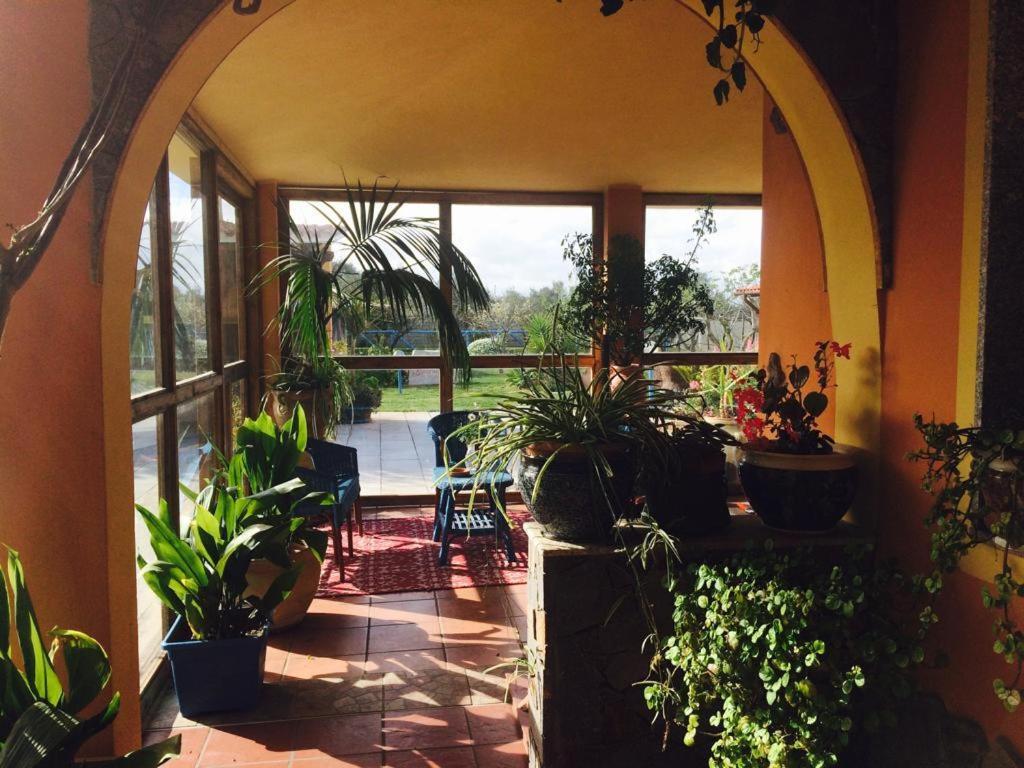 Il Bouganville Oristano Luaran gambar