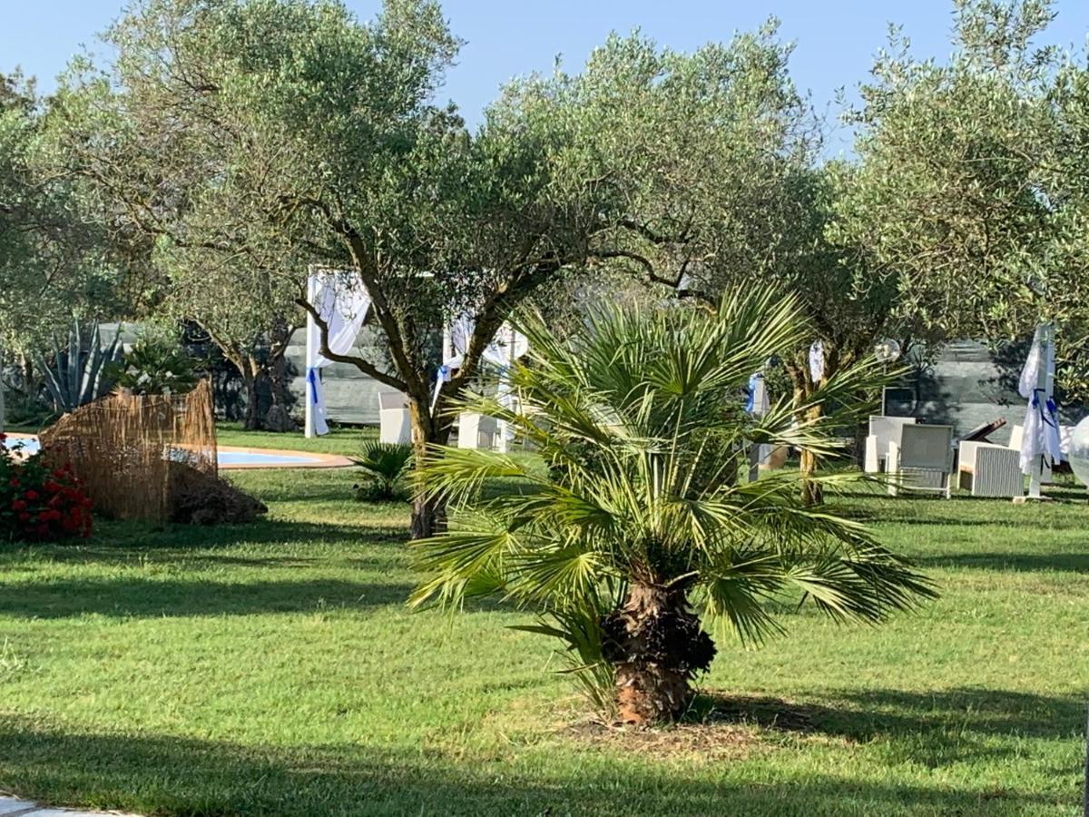 Il Bouganville Oristano Luaran gambar