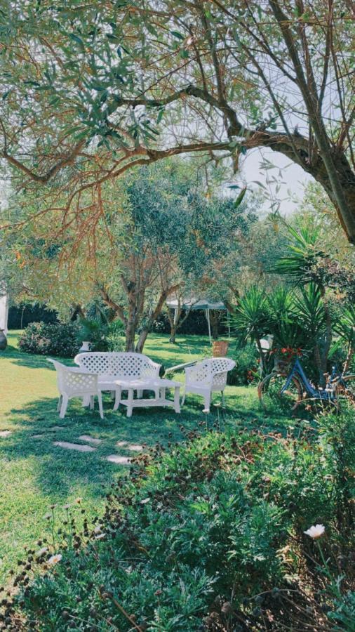 Il Bouganville Oristano Luaran gambar