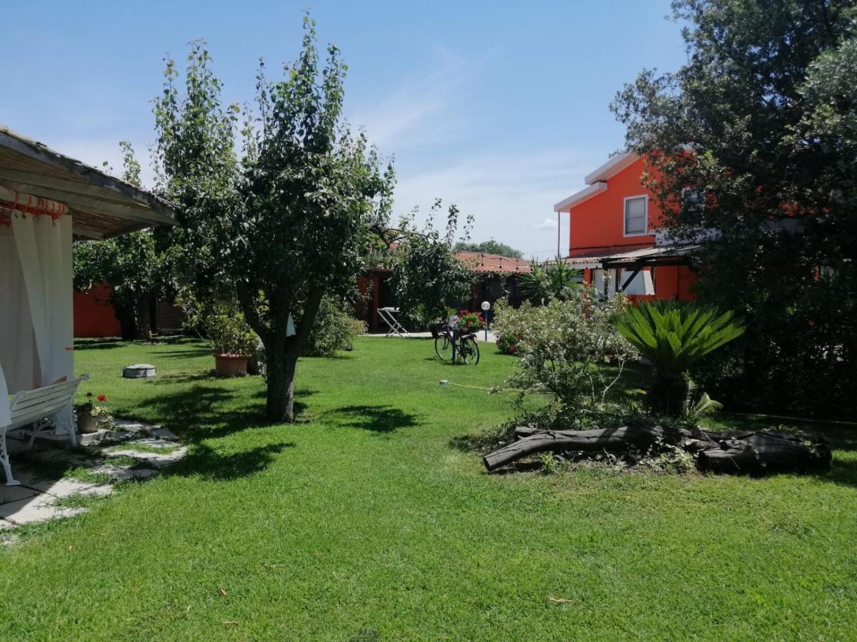 Il Bouganville Oristano Luaran gambar